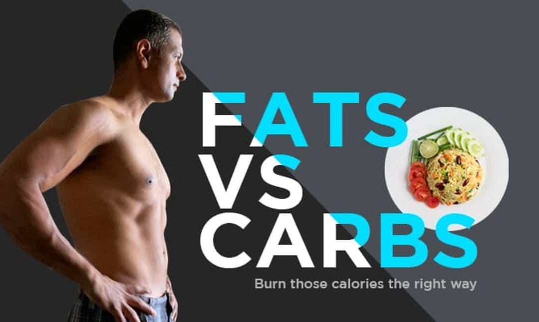 Fats v/s Carbs: An Intuitive Approach