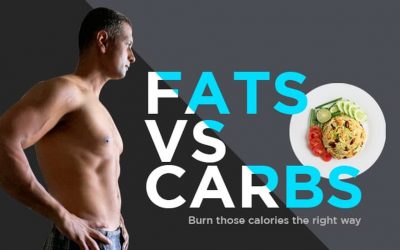 Fats v/s Carbs: An Intuitive Approach