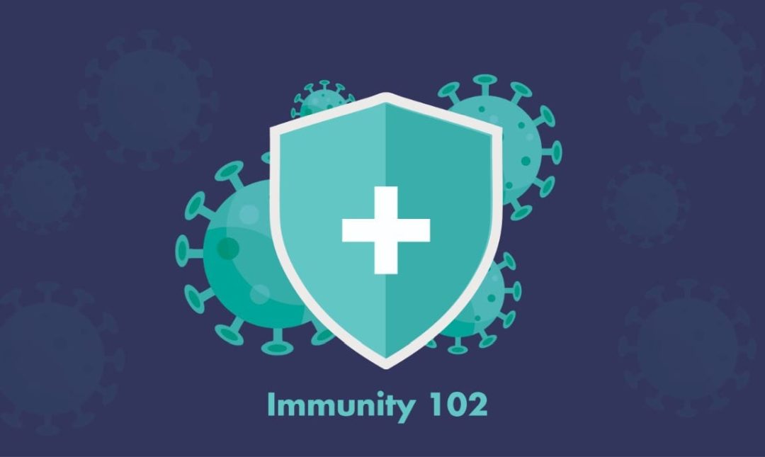 Immunity 102: The Snapshots