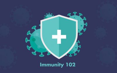 Immunity 102: The Snapshots